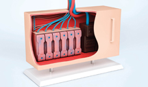 免费DDOS攻击测试工具